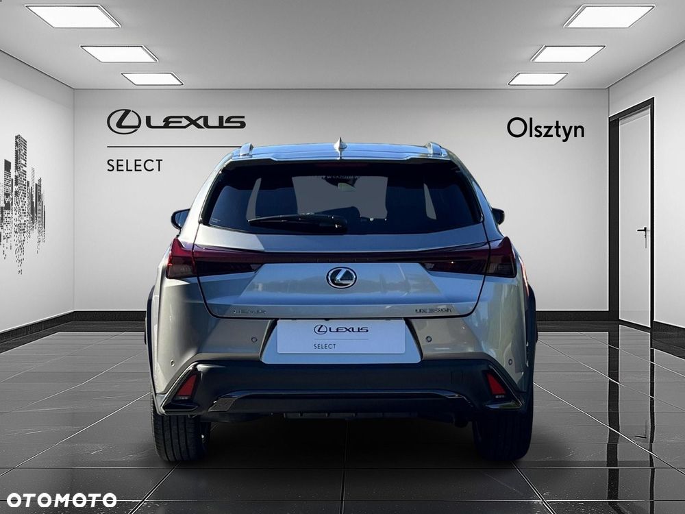 Lexus UX 300h F Sport Design - 4