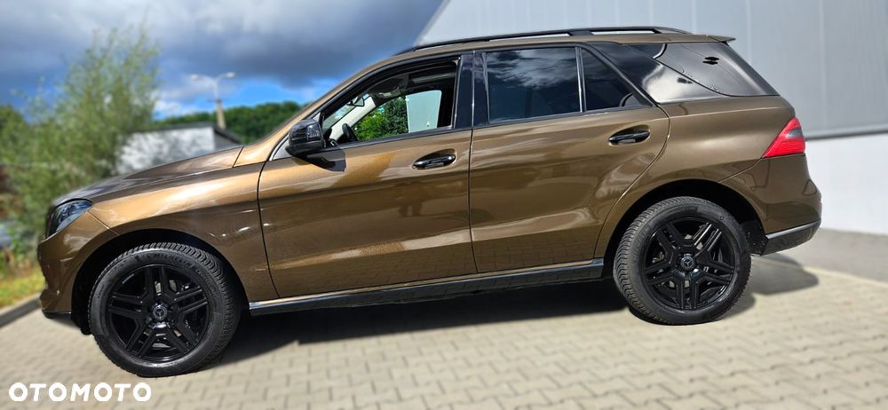 Mercedes-Benz ML 250 BlueTec 4-Matic - 7