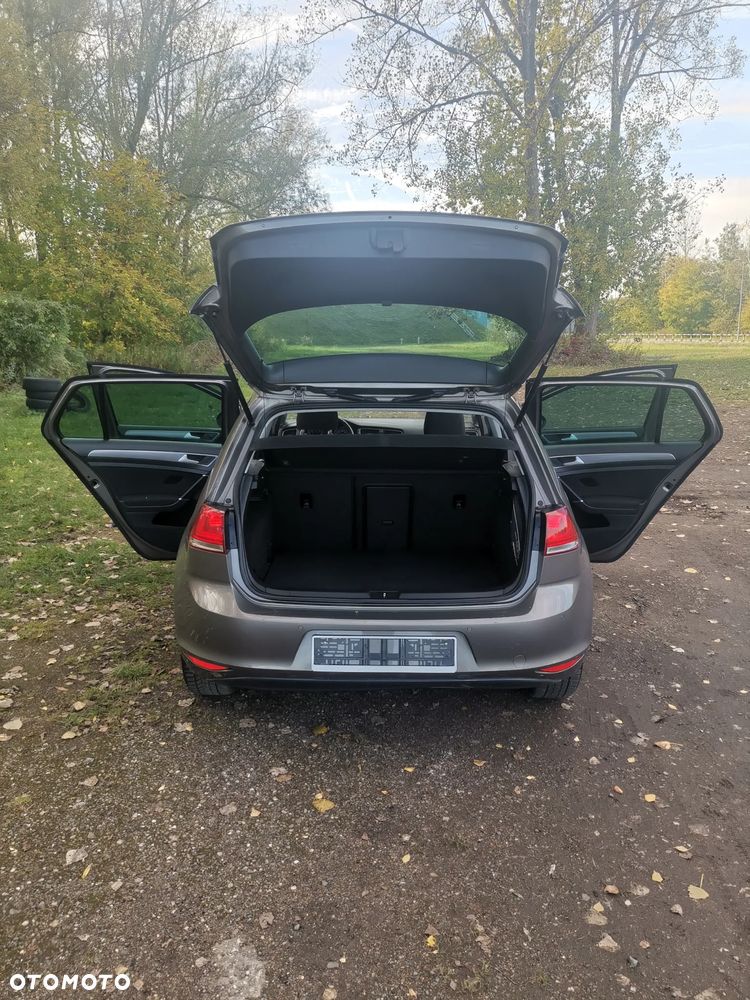 Volkswagen Golf - 17