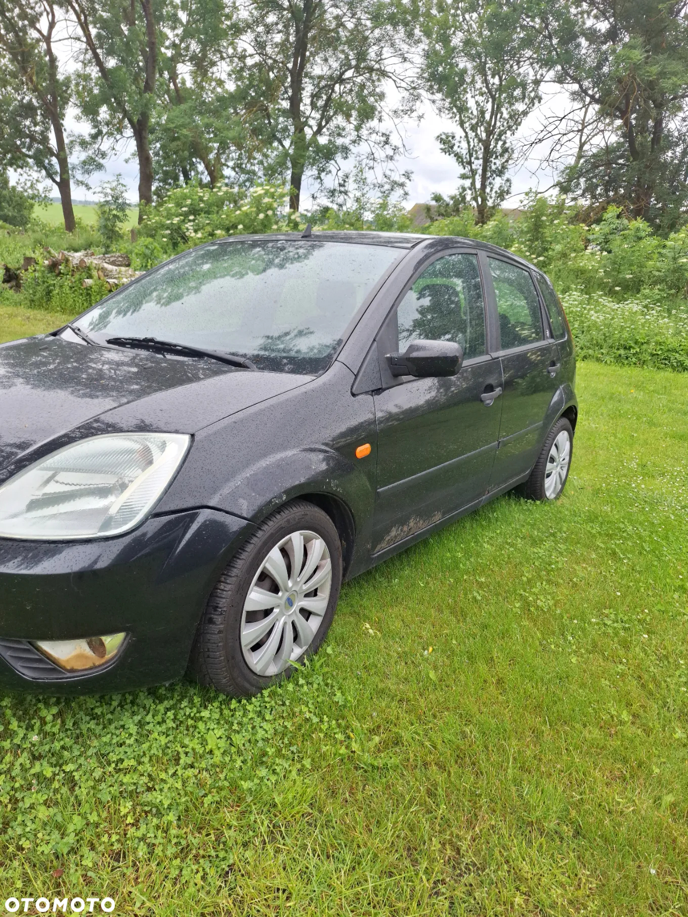 Ford Fiesta 1.4 TDCi - 3