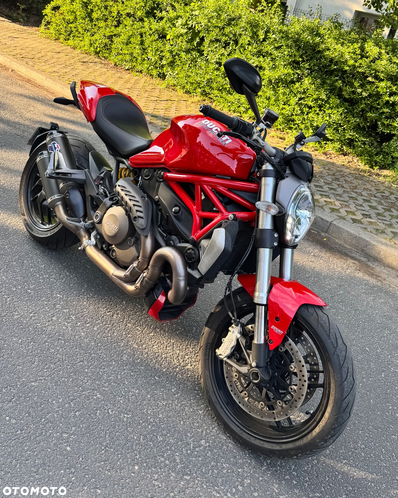 Ducati Monster - 2