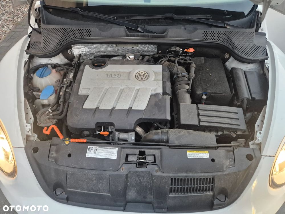 Volkswagen New Beetle - 12