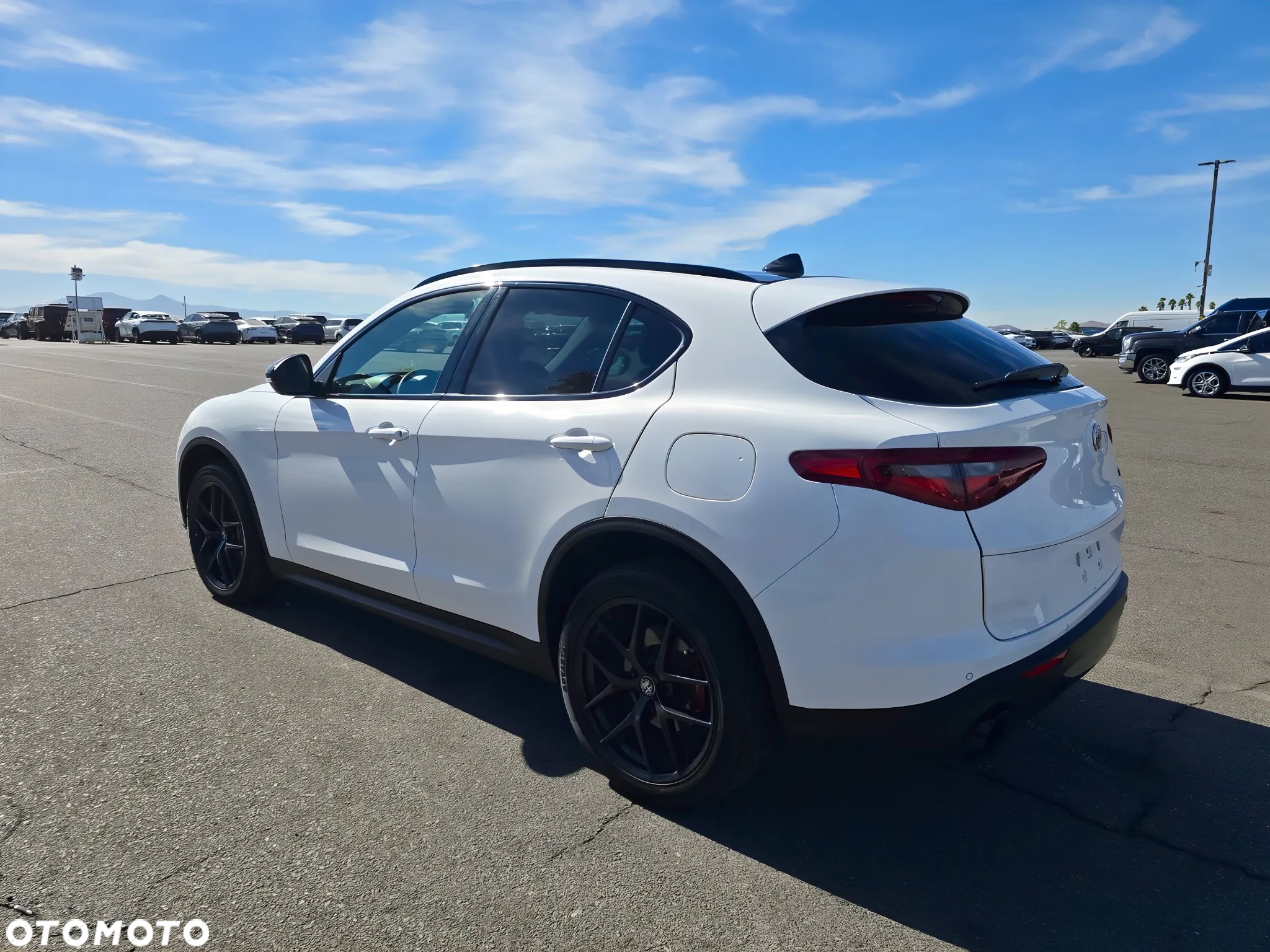 Alfa Romeo Stelvio 2.0 Turbo Executive Q4