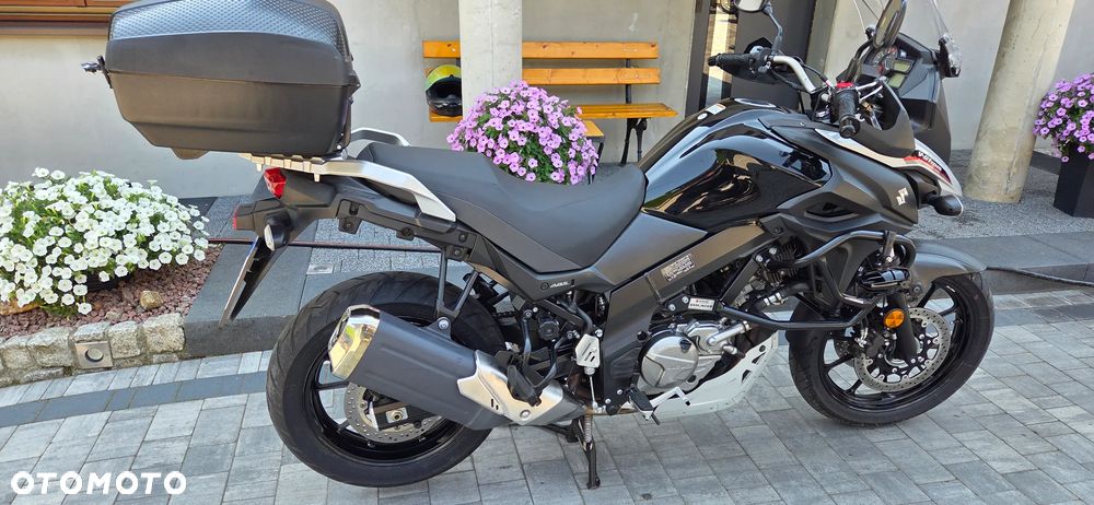 Suzuki V-STROM - 20