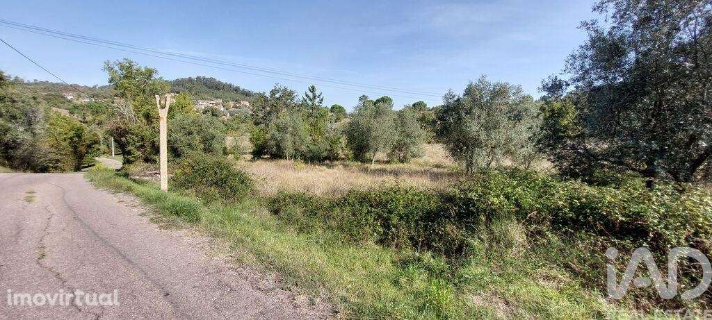 Terreno Agrícola em Colmeias e Memória - Grande imagem: 4/5