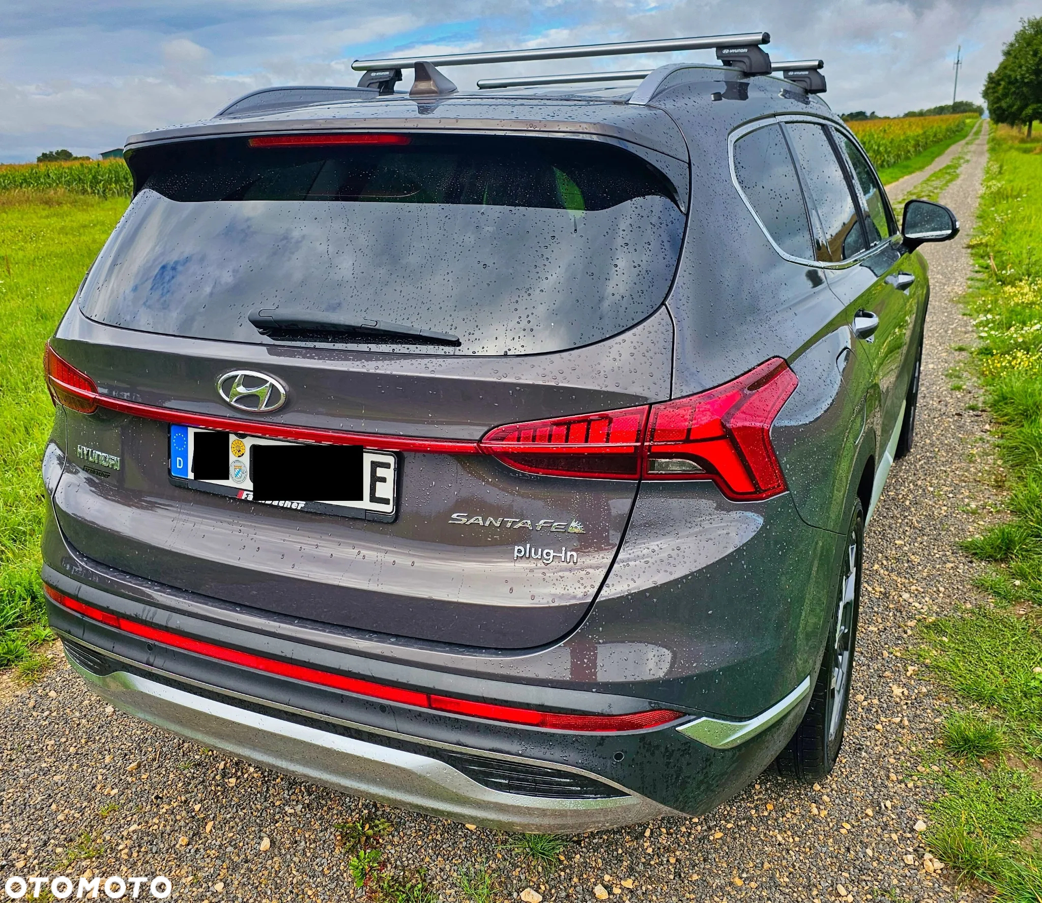 Hyundai Santa Fe 1.6 T-GDI PHEV Executive 4WD - 7