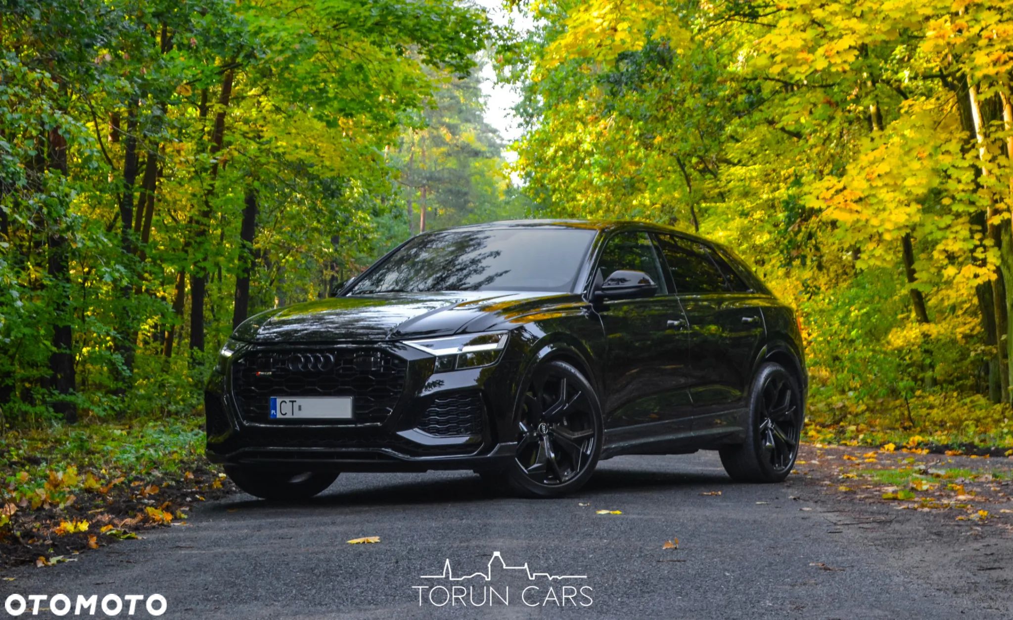 Audi RS Q8 - 1