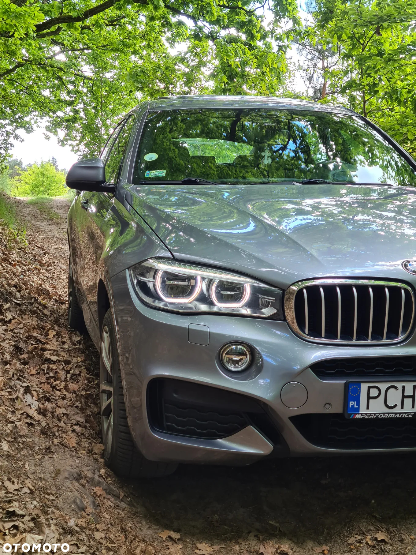 BMW X6 xDrive30d