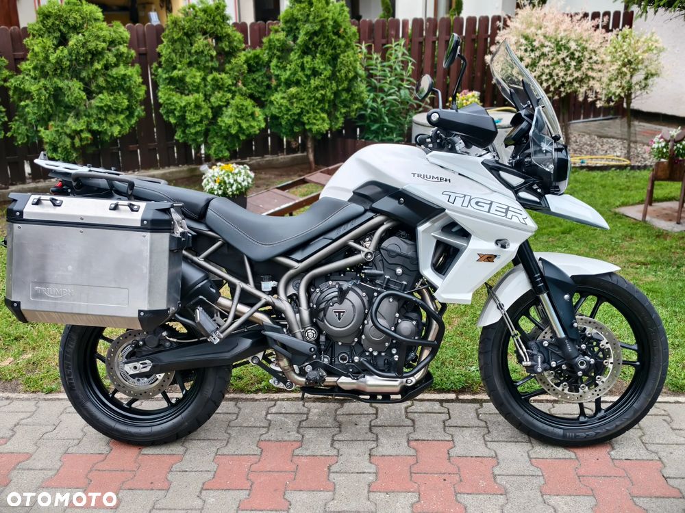 Triumph Tiger - 2
