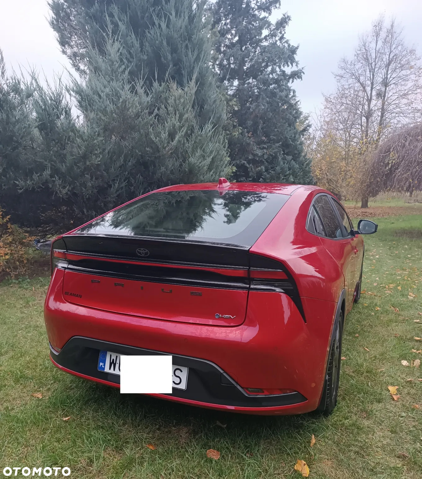 Toyota Prius - 10