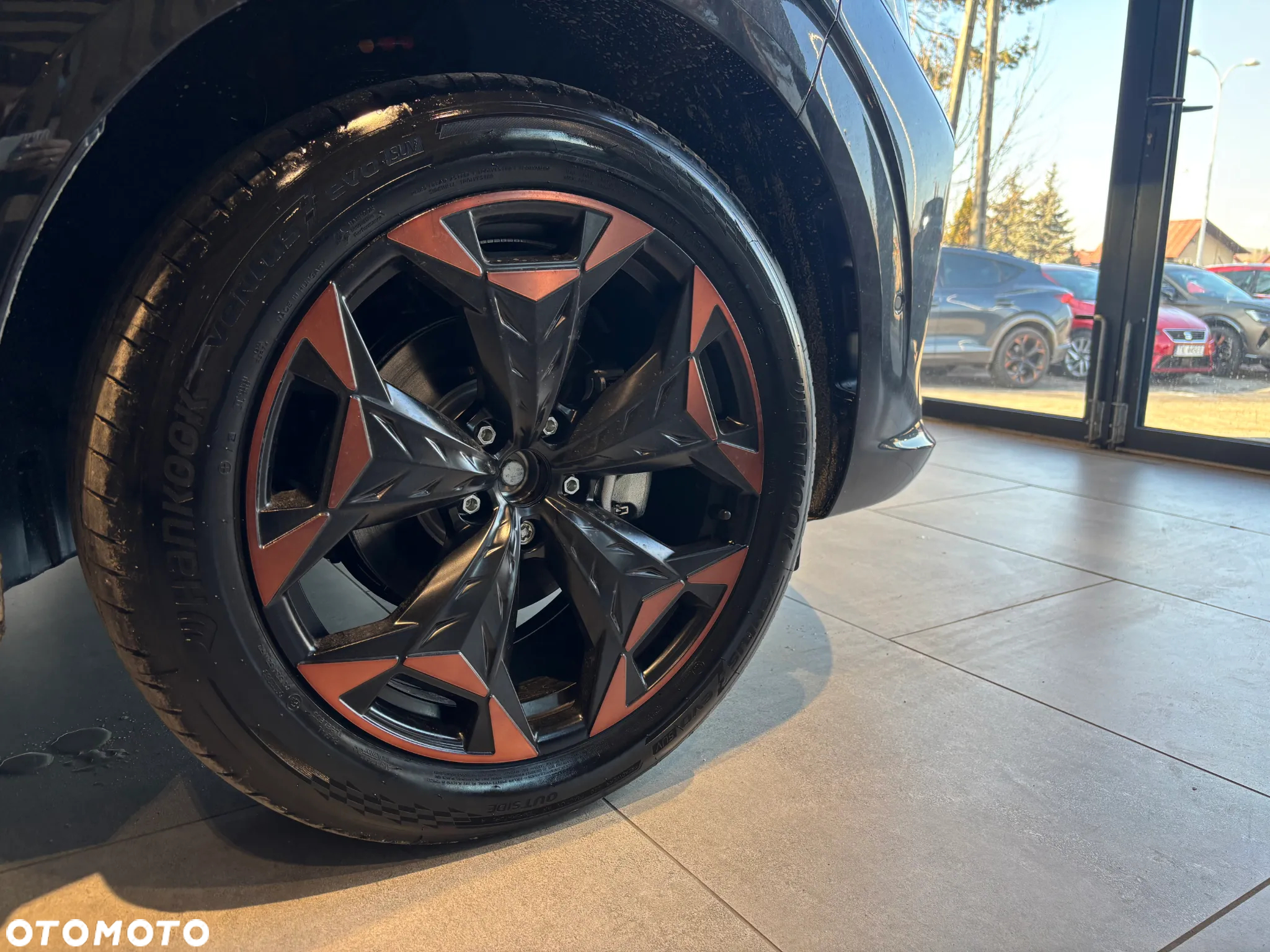 Cupra Terramar 2.0 TSI 4Drive DSG - 7