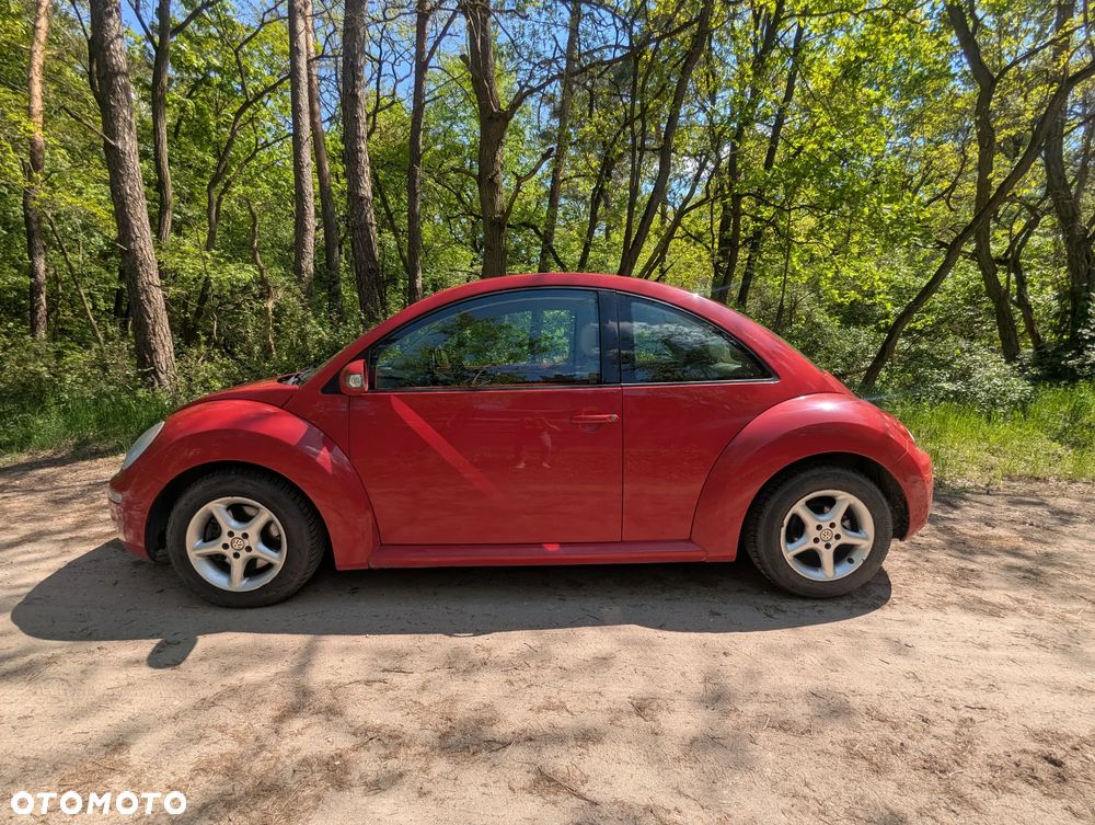 Volkswagen New Beetle - 13