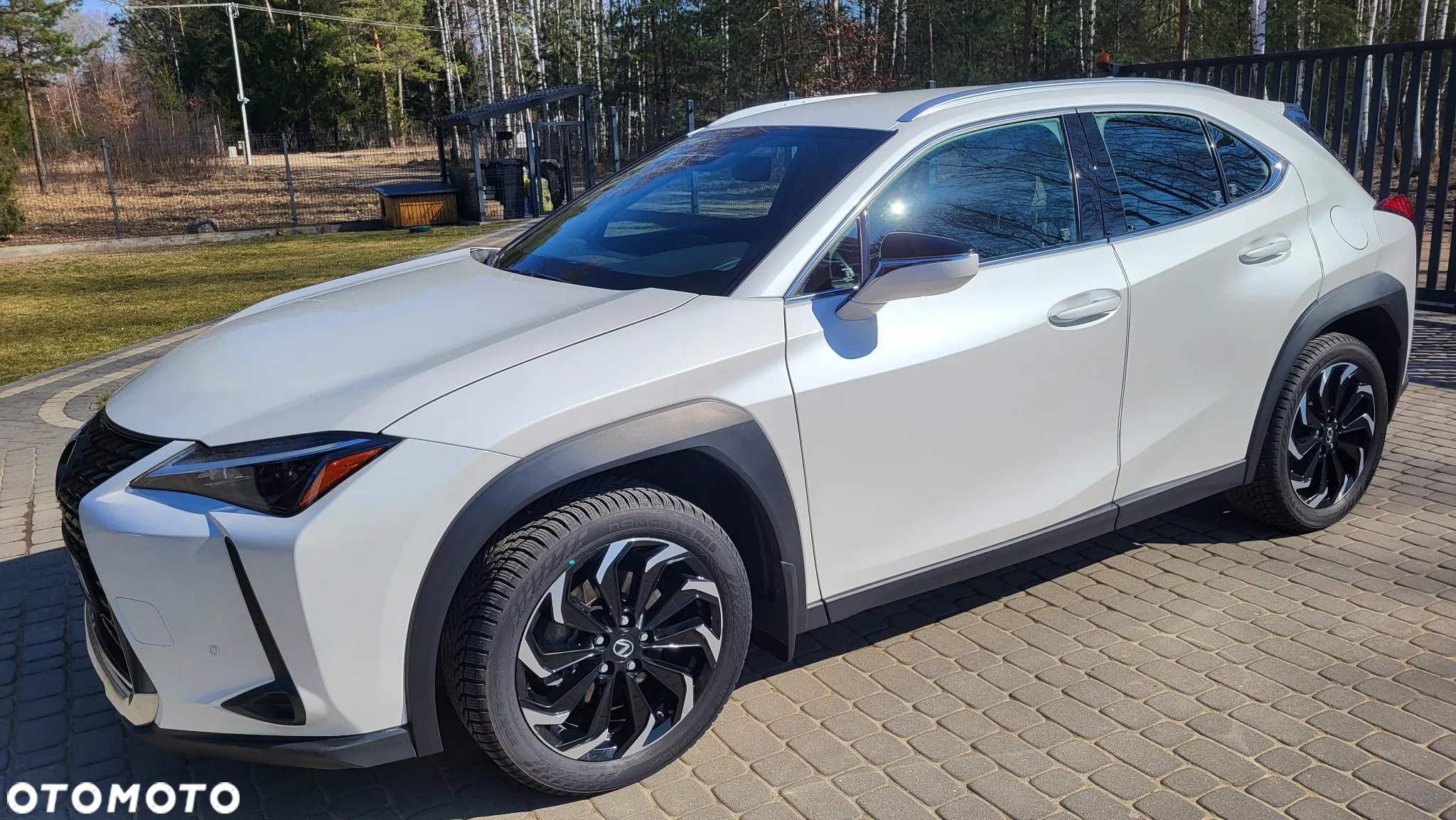 Lexus UX 250h GPF Business AWD - 9