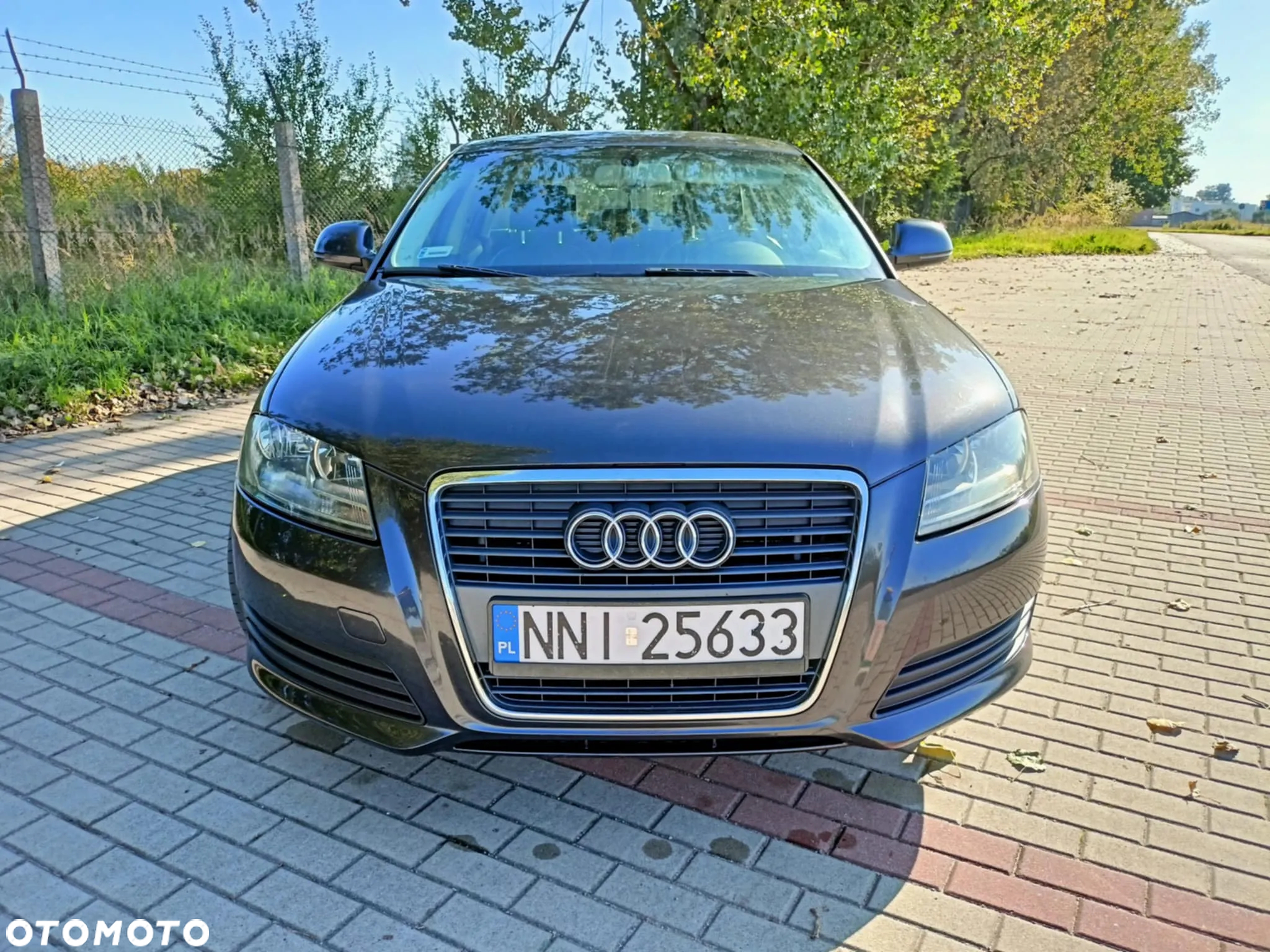 Audi A3 1.9 TDI Ambition - 2