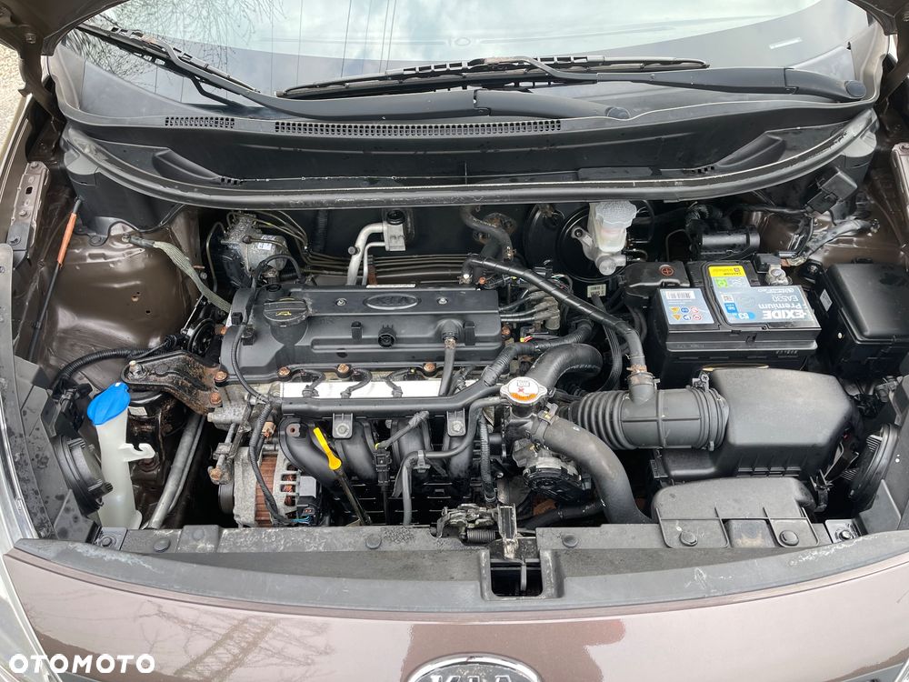 Kia Rio 1.2 Dream Team Edition - 12