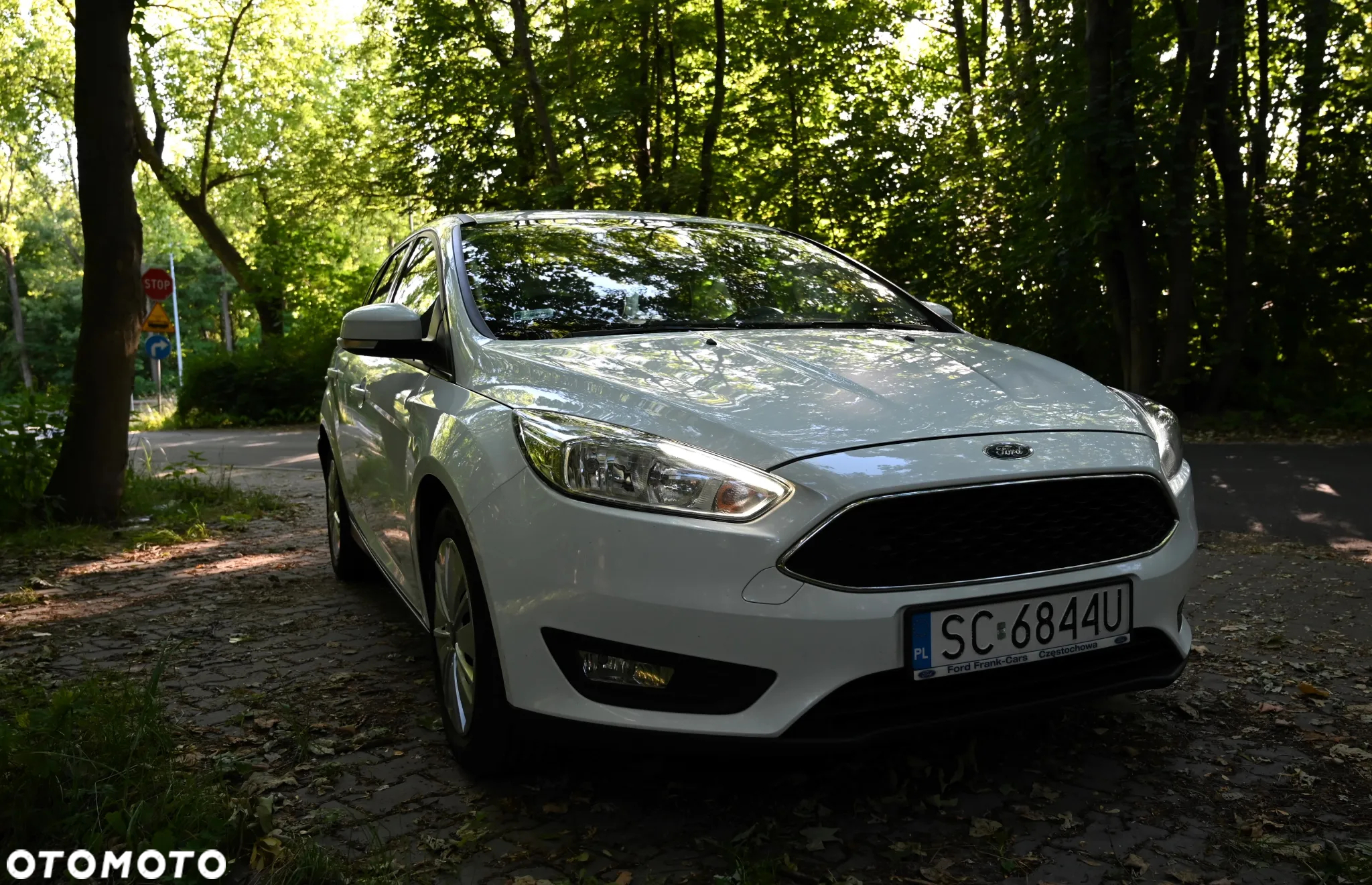 Ford Focus - 9
