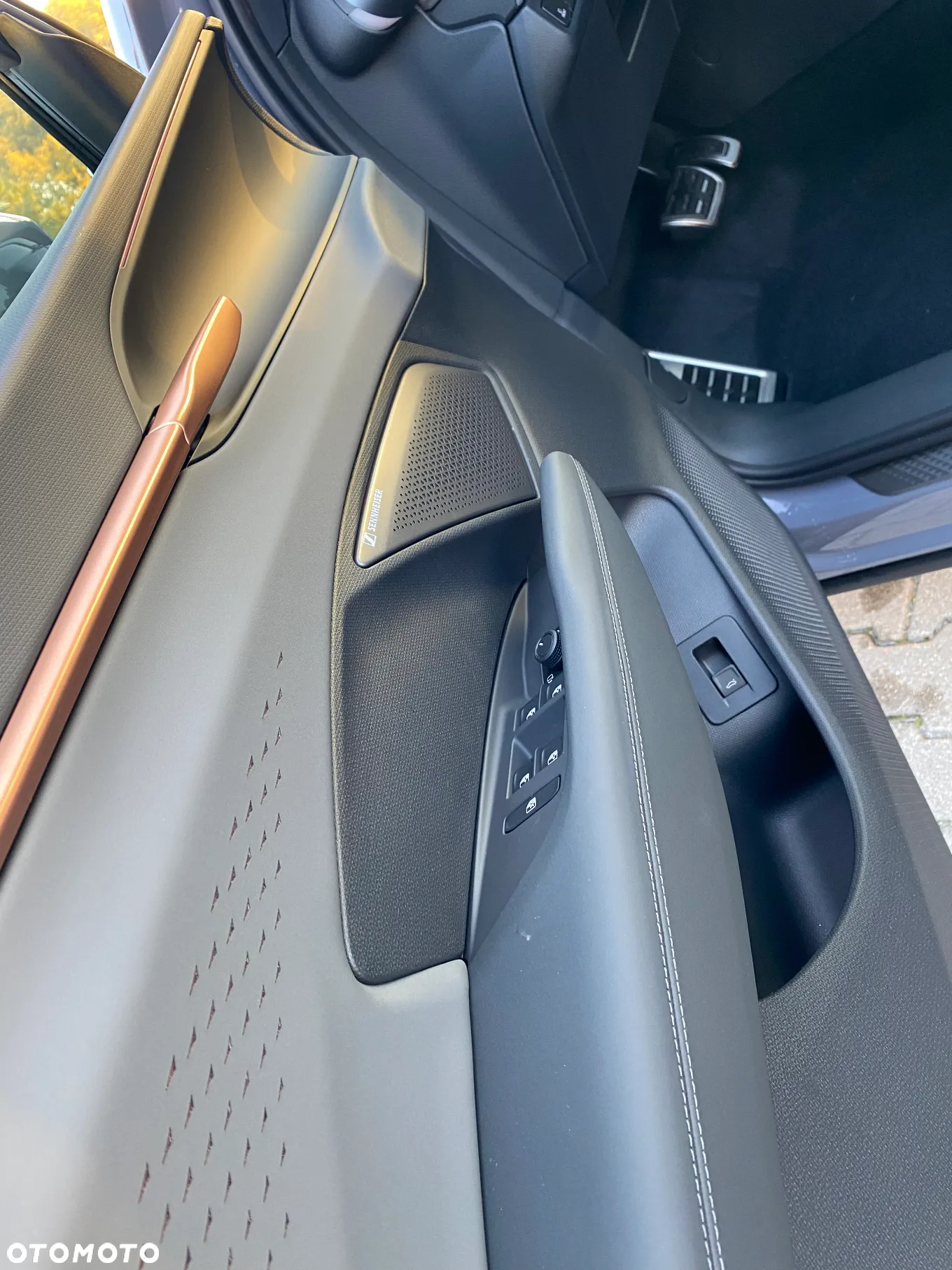 Cupra Terramar - 10