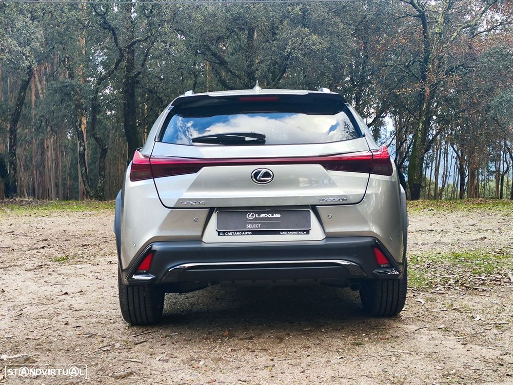 Lexus UX 250h Sport - 6