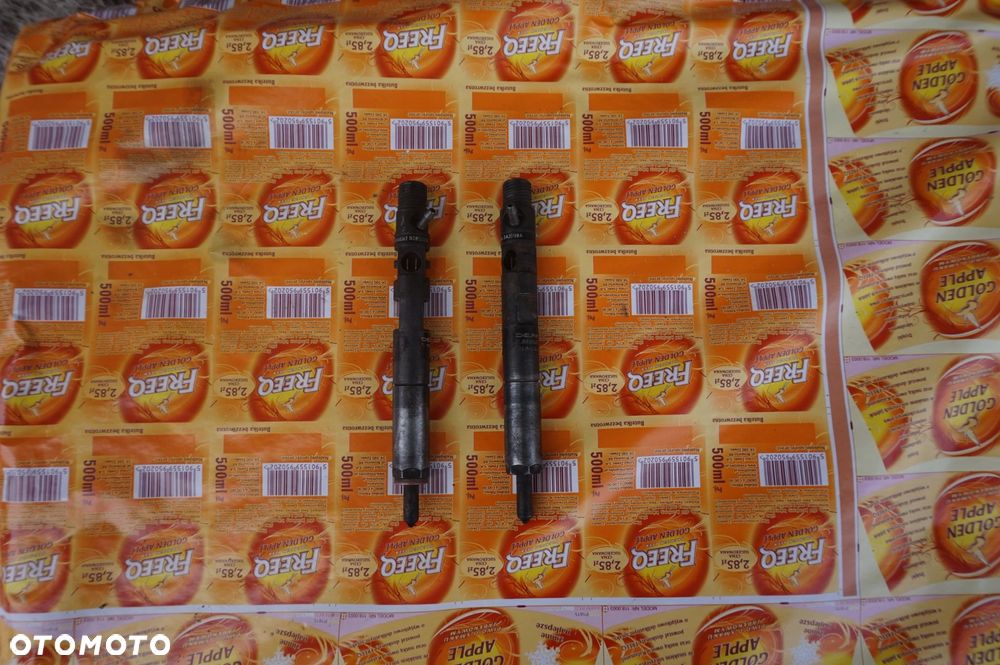 WTRYSK 1.5 DCI RENAULT KANGOO CLIO THALIA MODUS EJBR01401Z - 1