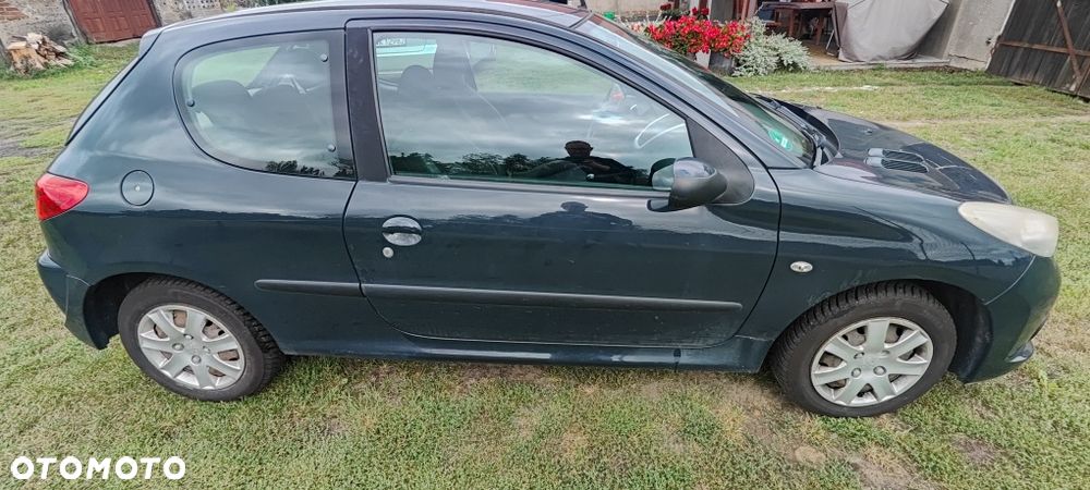 Peugeot 206 plus - 2