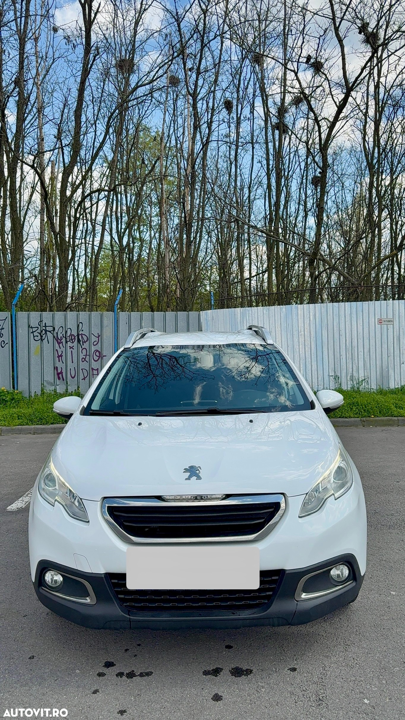 Peugeot 2008 1.6 BlueHDi FAP Active - 2