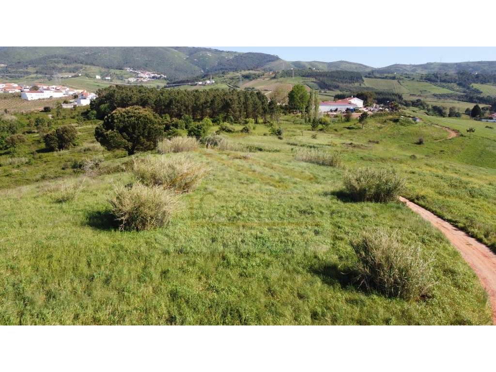 Conjunto de Terrenos Rustico - Grande imagem: 5/17