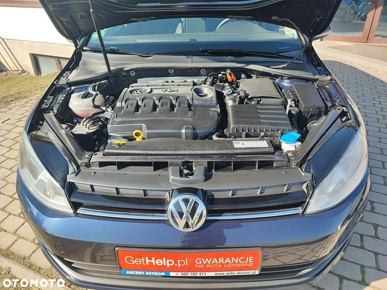 Volkswagen Golf - 17