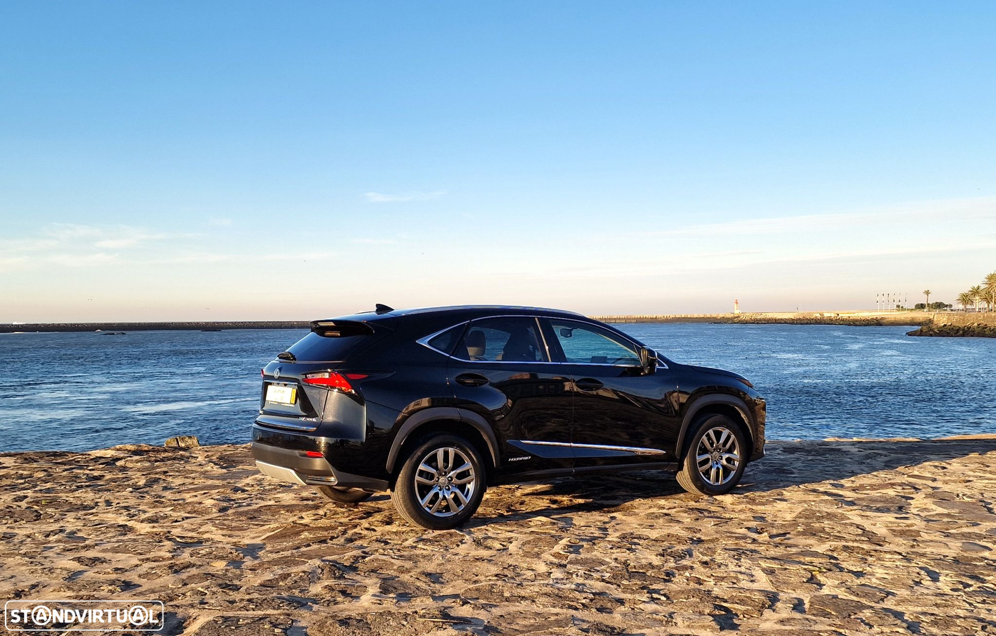 Lexus nx-300h Executive - 6