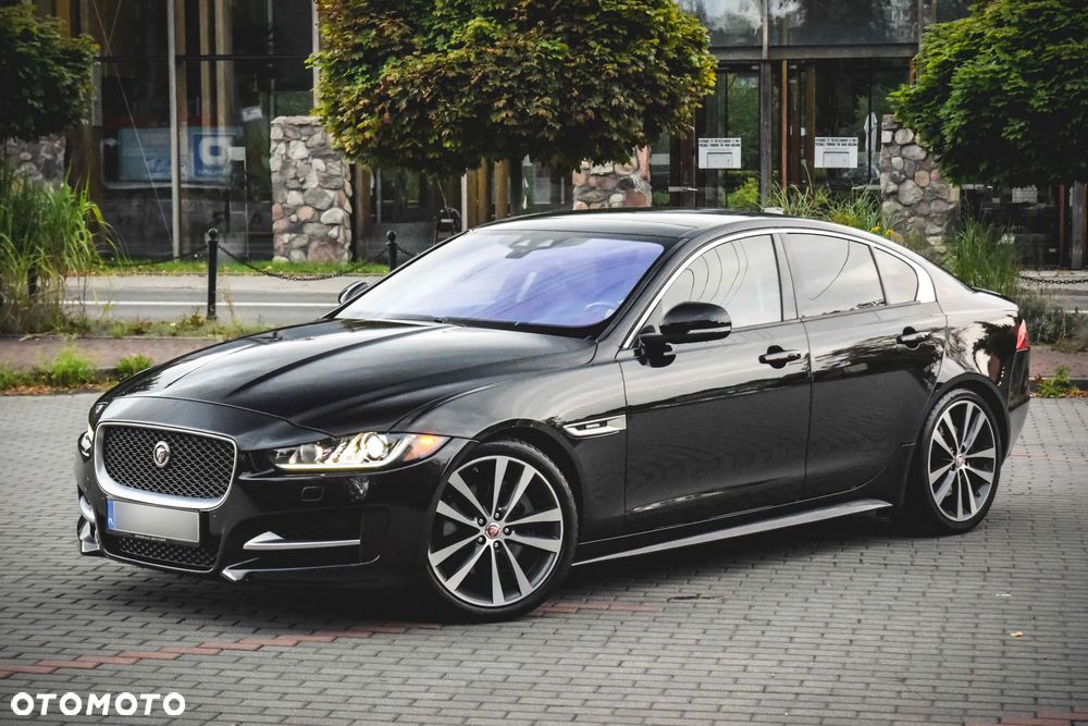 Jaguar Xe 2017 photo 3