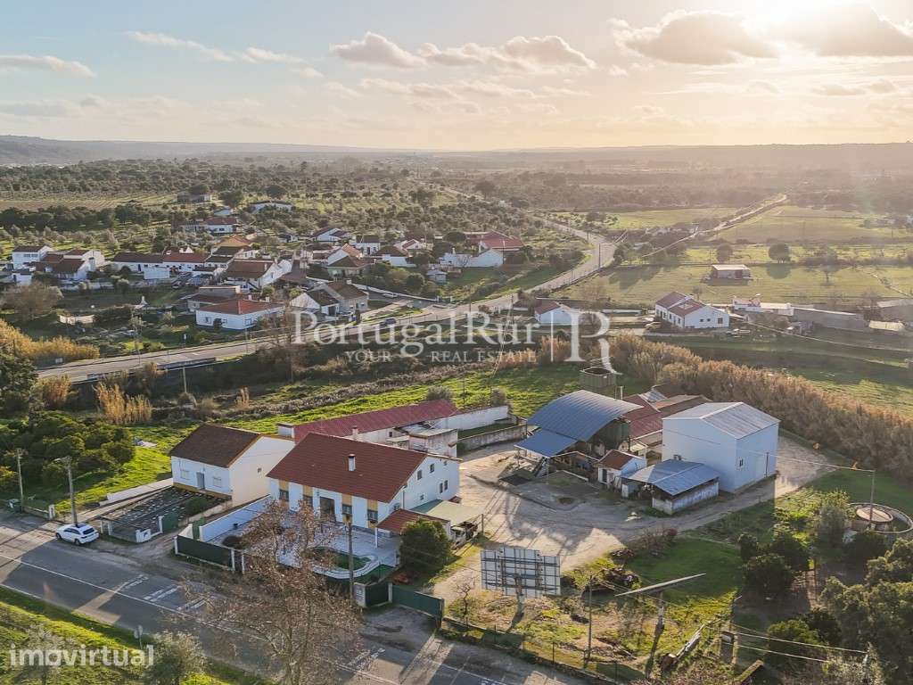 Unidade Industrial de Produção de Azeite & Elevado Potencial Produtivo - Grande imagem: 5/60