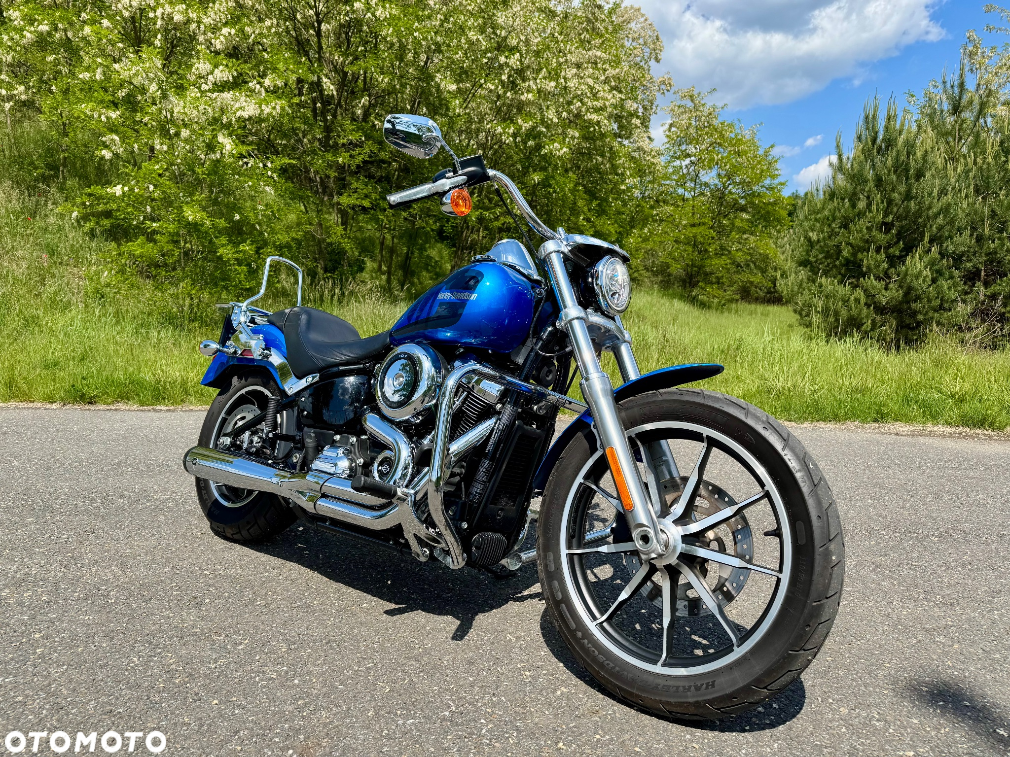 Harley-Davidson Softail Low Rider - 12