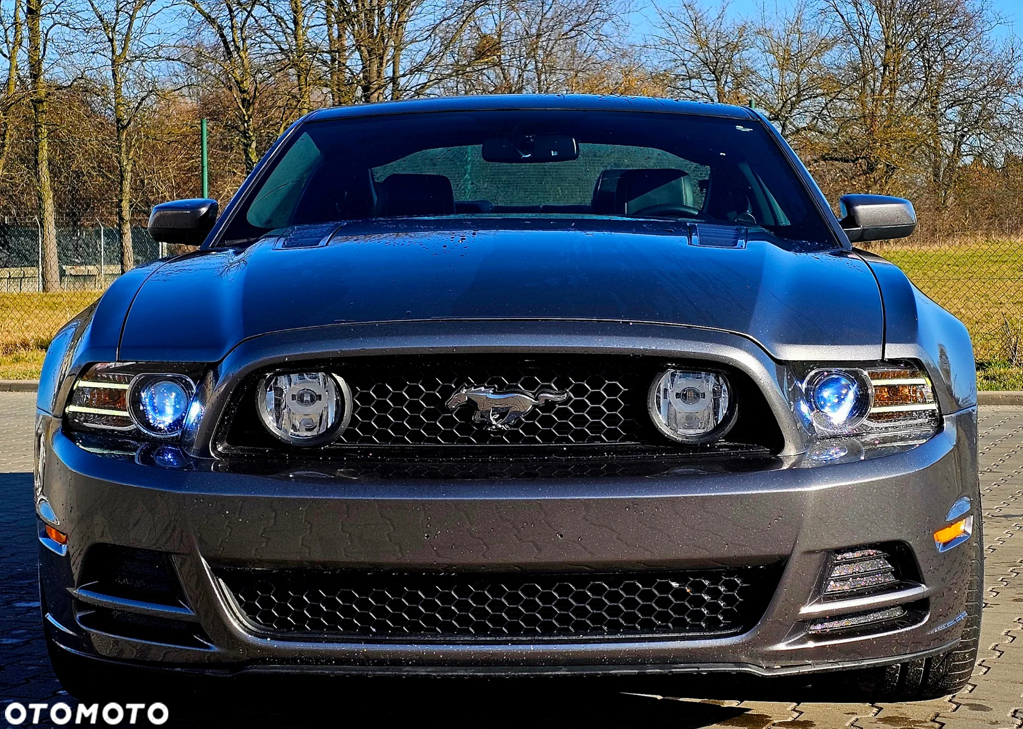 Ford Mustang 5.0 Ti-VCT V8 GT - 5