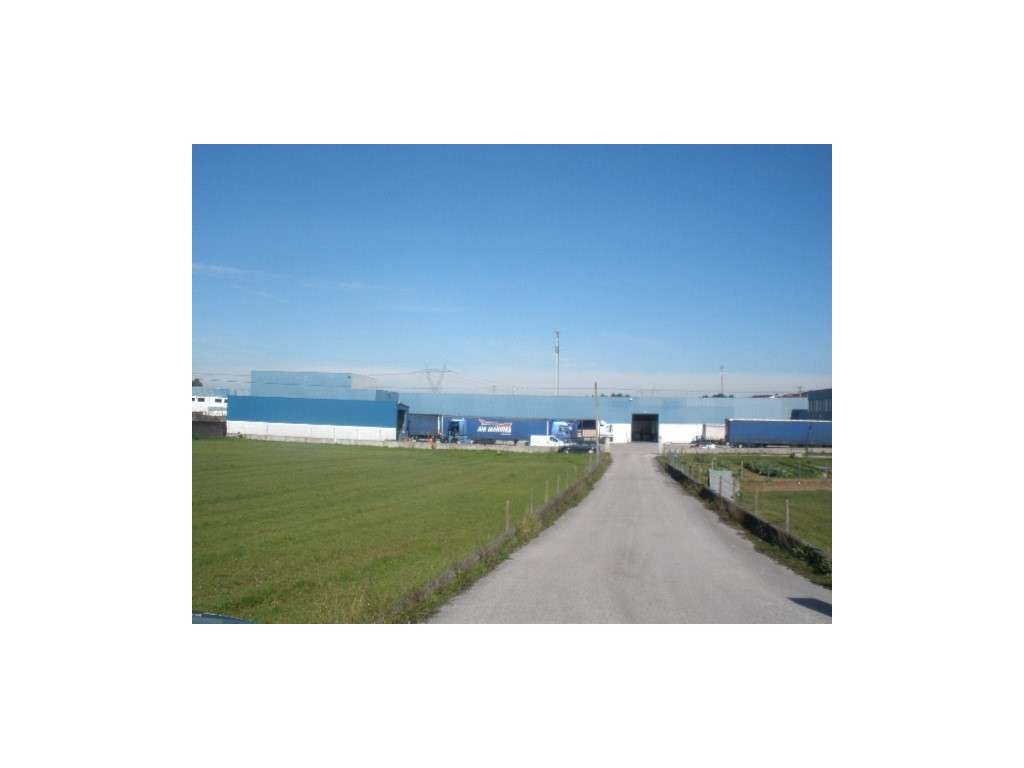 Grande armazém e escritórios junto a Leiria - Grande imagem: 4/13