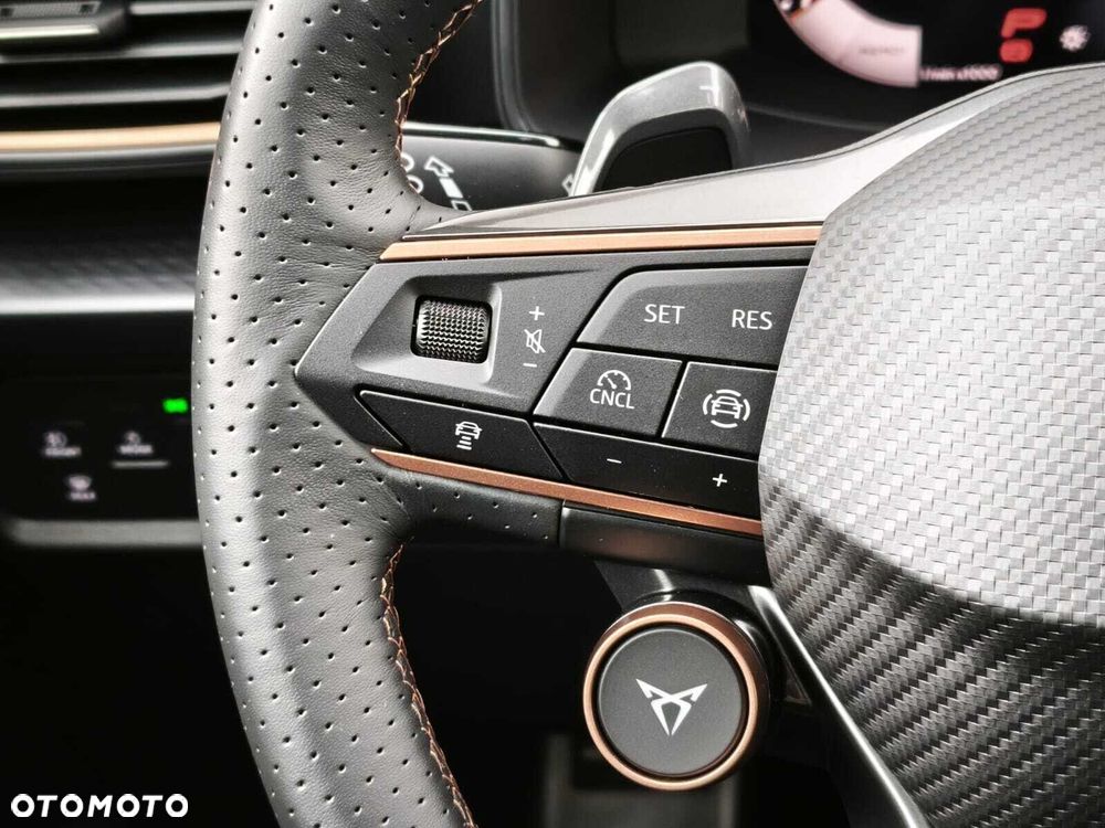Cupra Formentor 2.0 TSI 4Drive DSG - 23