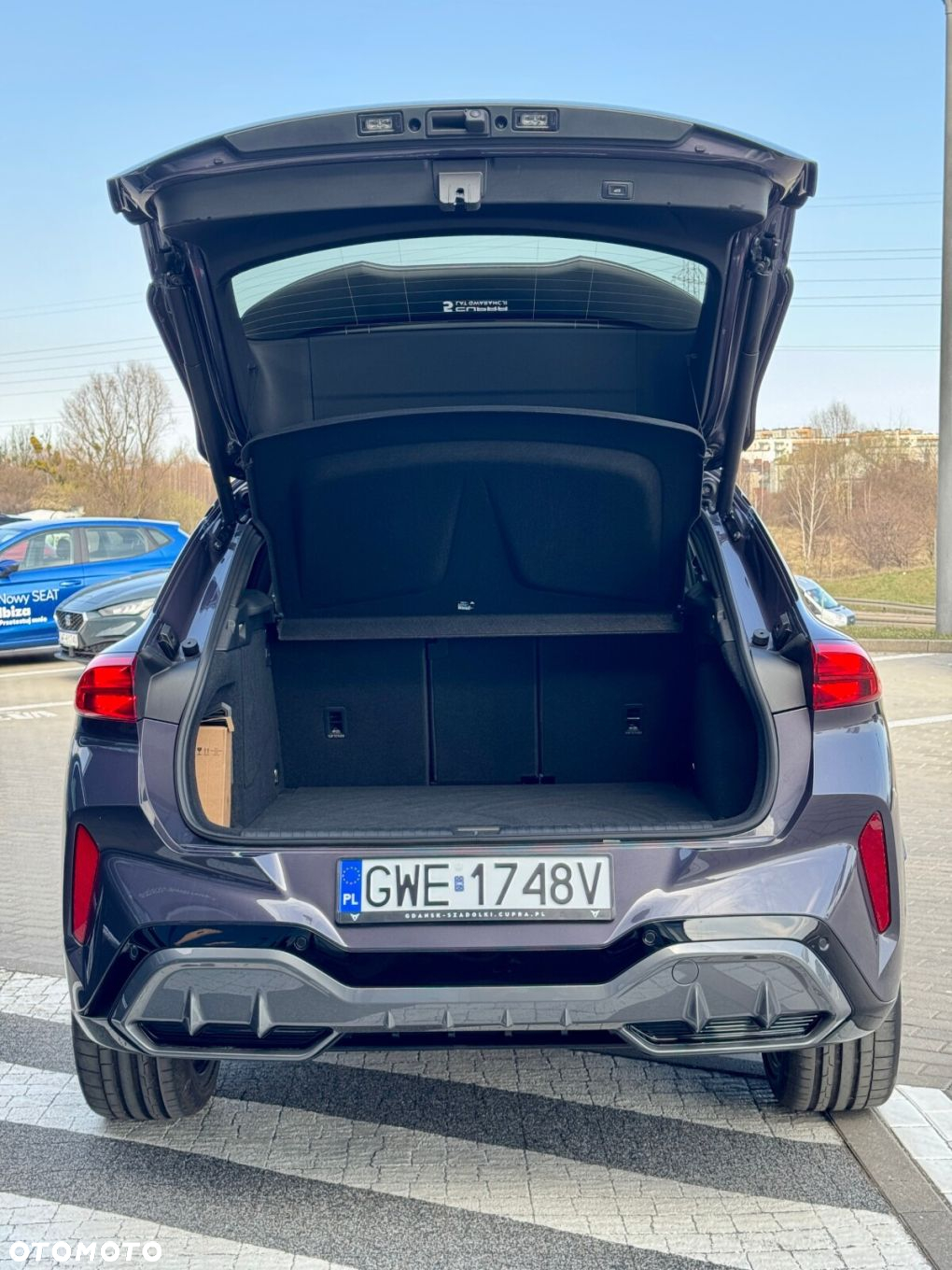 Cupra Terramar - 10
