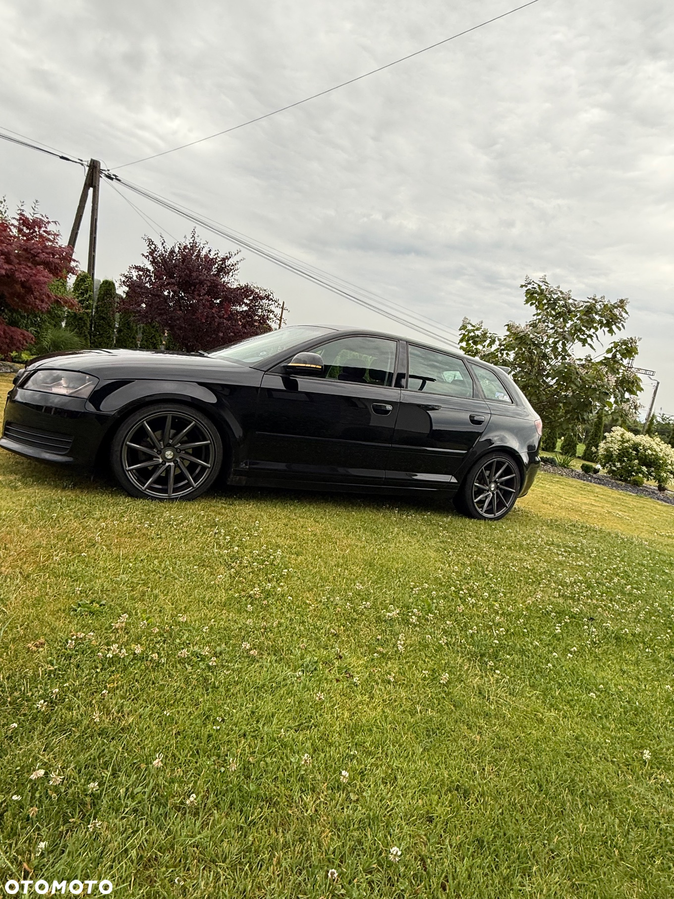 Audi A3 1.9 TDI Ambiente - 7