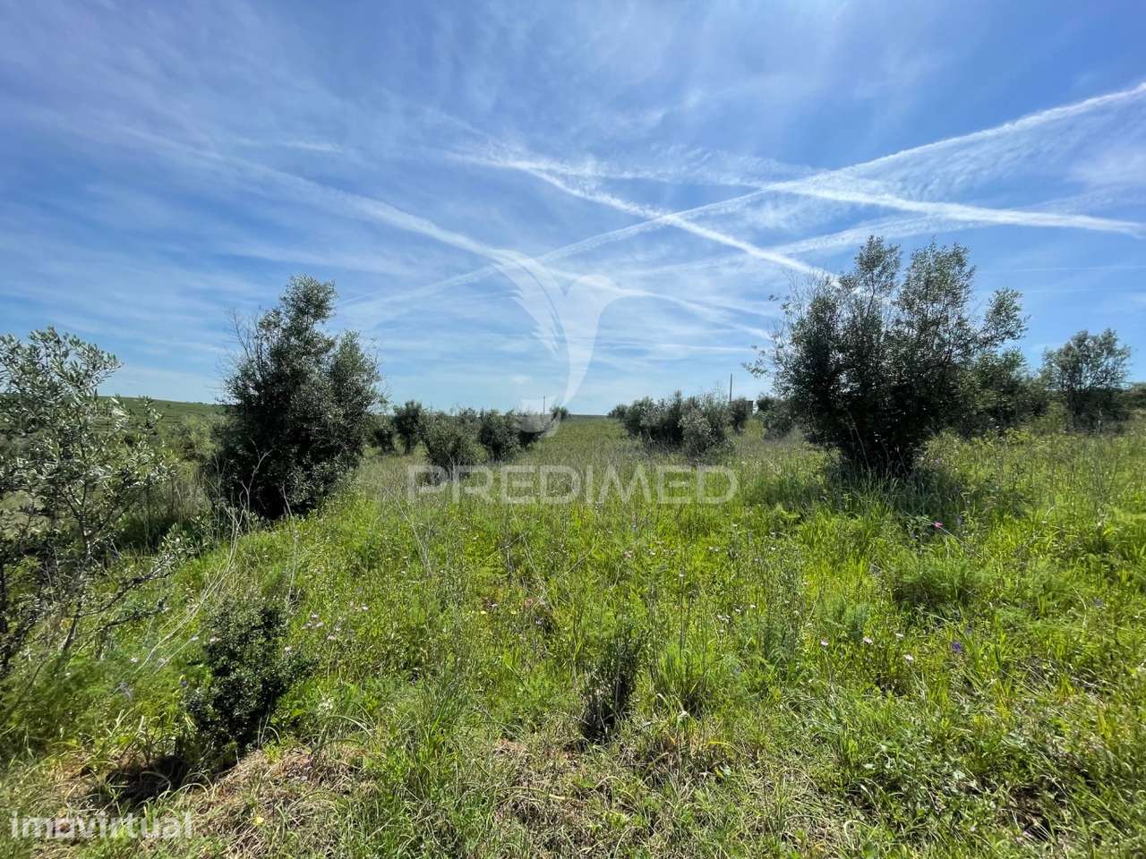 Terreno perto da Vila de Avis - Grande imagem: 3/14