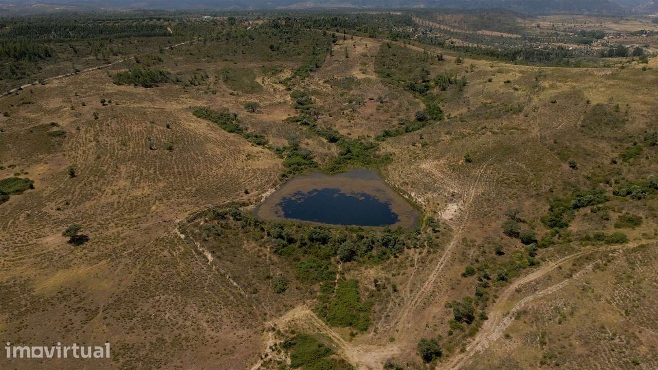 194,45 Hectares | 1 km de Frente Privada para o Rio Tejo | Portugal - Grande imagem: 5/29
