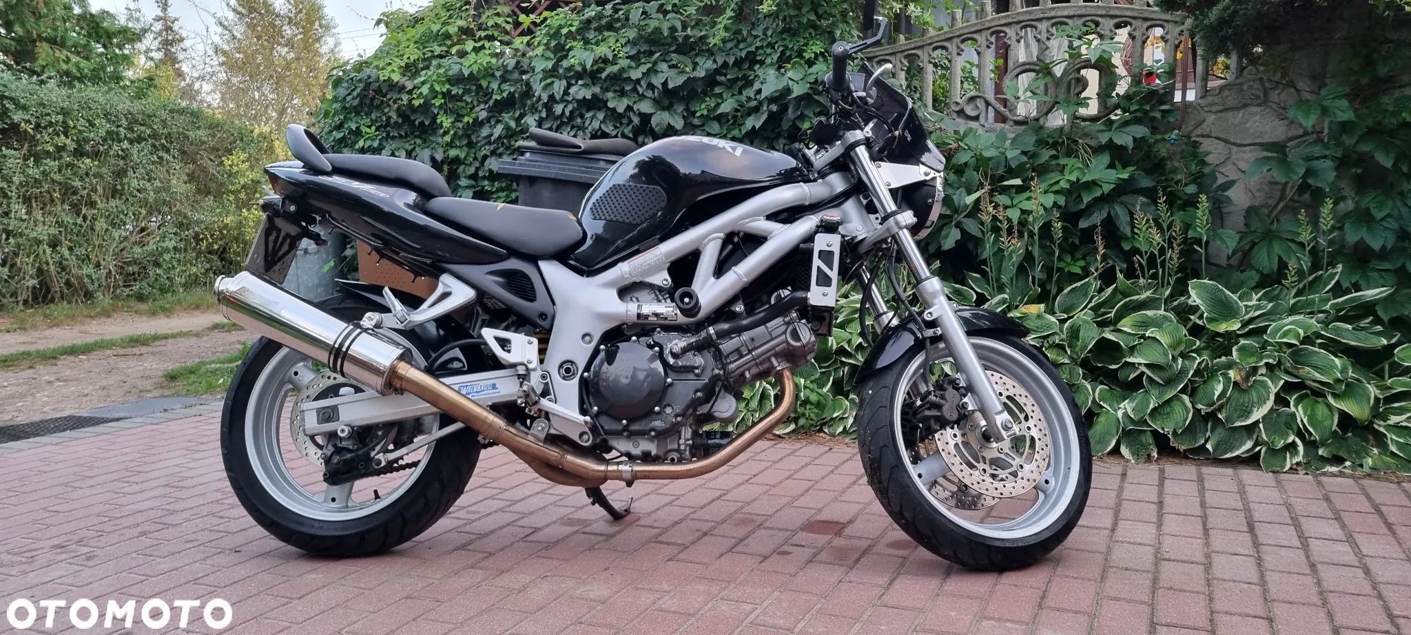 Suzuki SV - 1