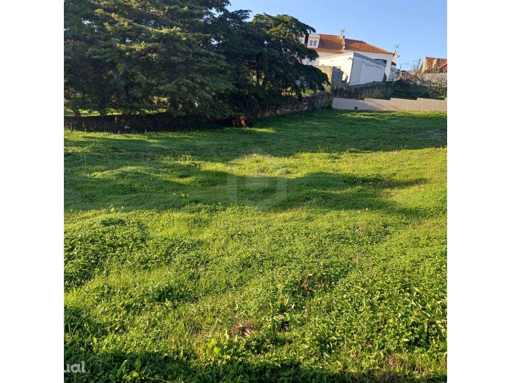 Terreno na Aldeia da Portela-Azeitão com Projeto Aprovado - 2212m² - Grande imagem: 4/19