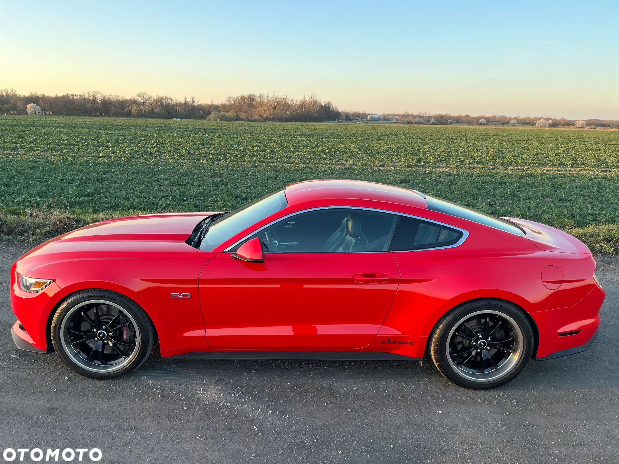 Ford Mustang 5.0 V8 GT - 2
