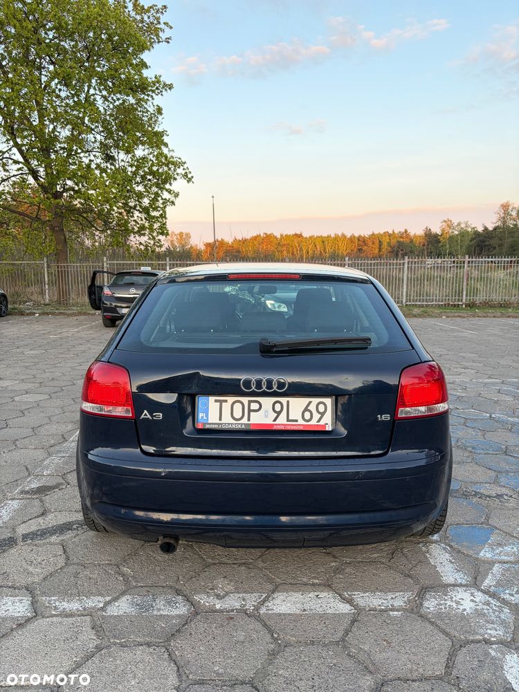 Audi A3 3-drzwiowe - 2