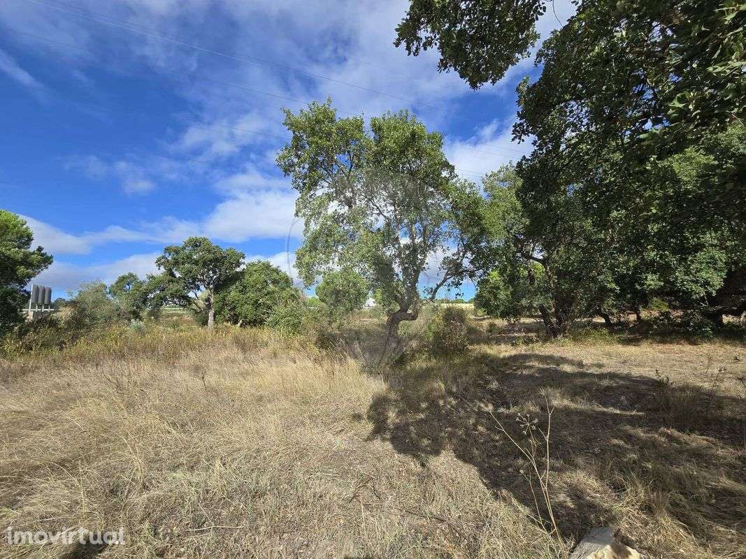 Terreno  para venda - Grande imagem: 3/12