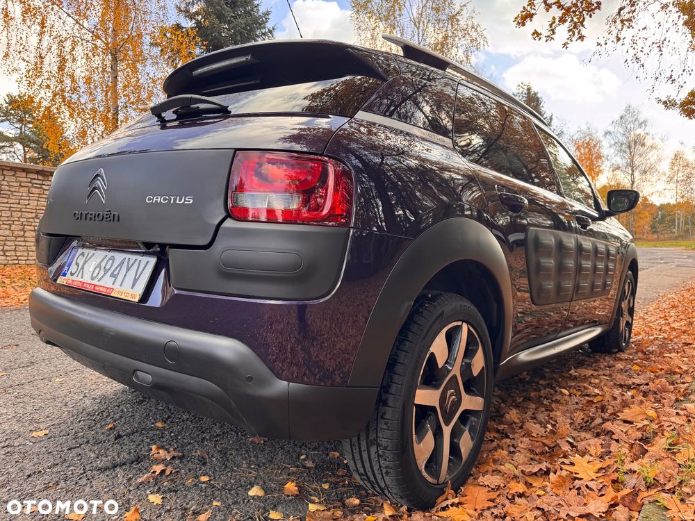Citroën C4 Cactus 1.2 PureTech Shine S&S - 5