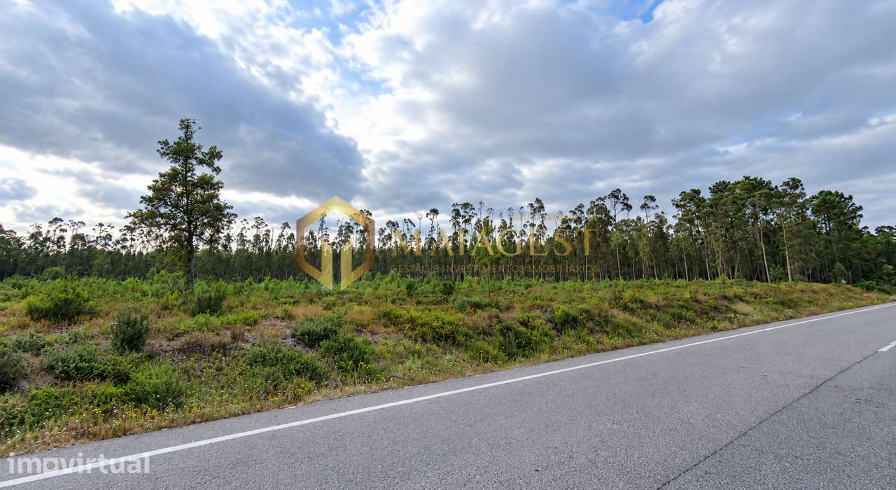 Terreno Rústico com 4,3610 ha na Pocariça, Cantanhede - Grande imagem: 3/5