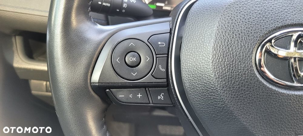 Toyota RAV4 2.5 Hybrid Selection 4x4 - 10