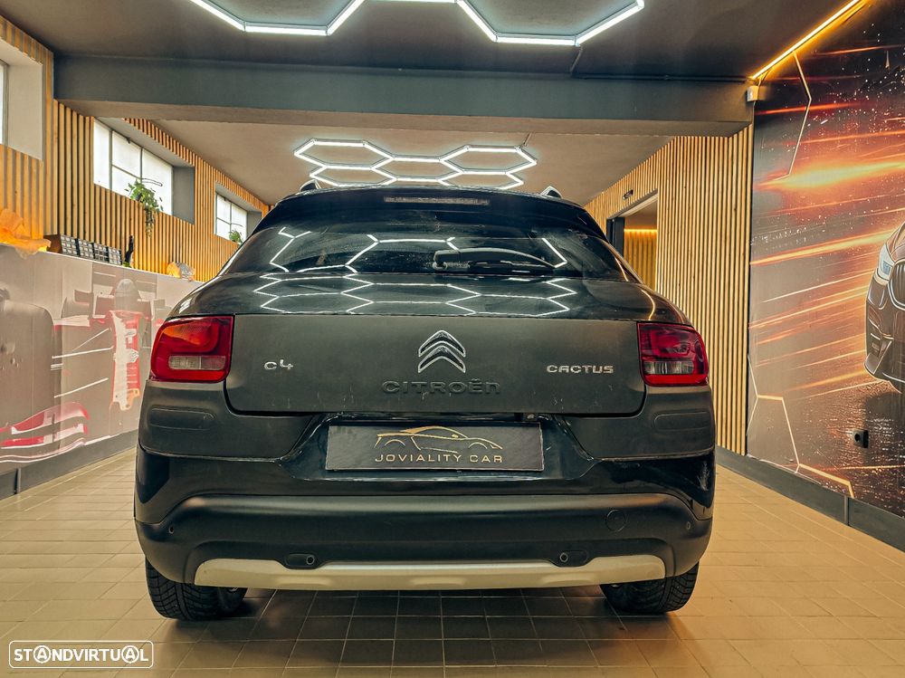 Citroën C4 Cactus 1.6 BlueHDi Rip Curl - 11