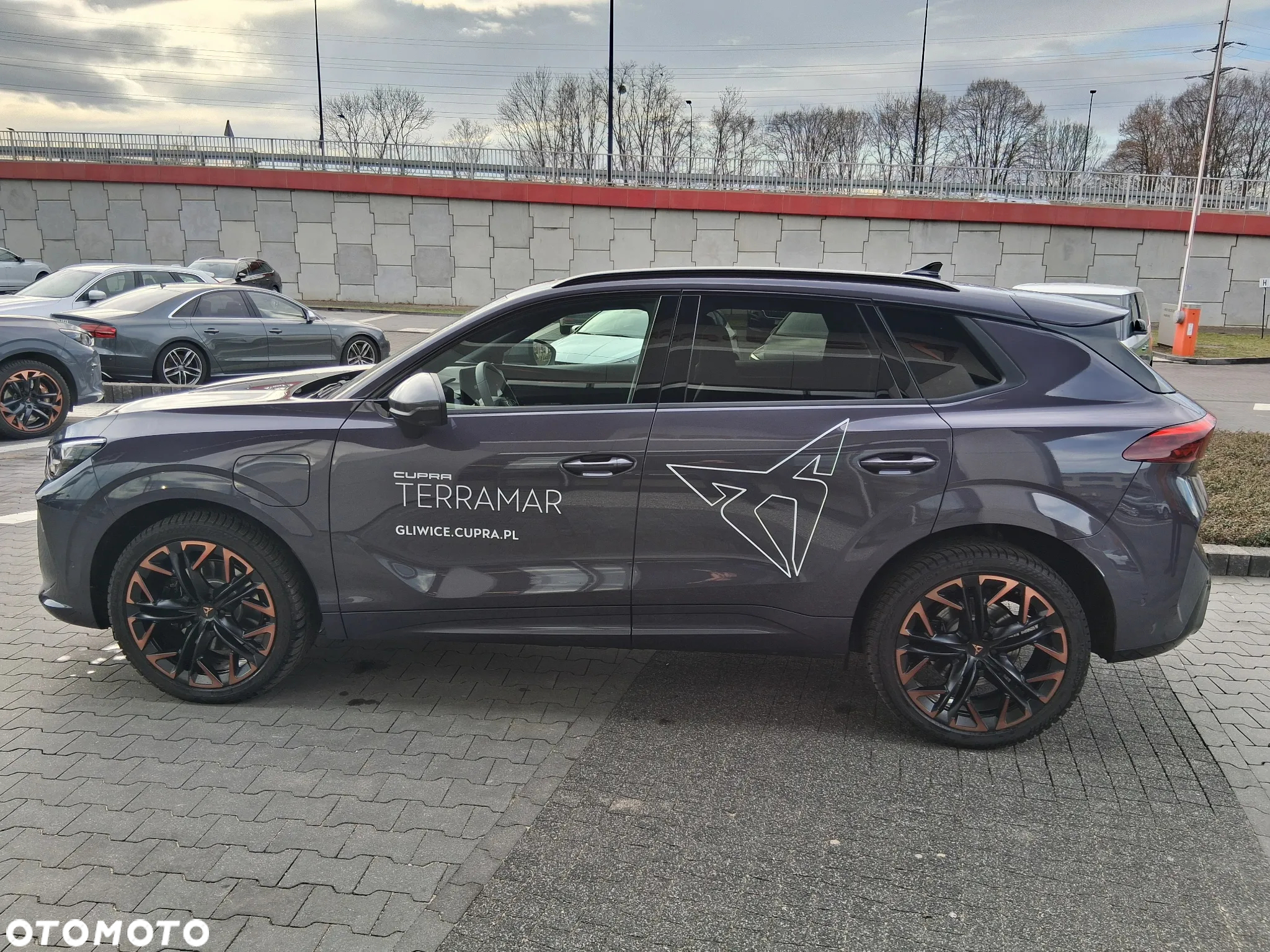 Cupra Terramar - 10