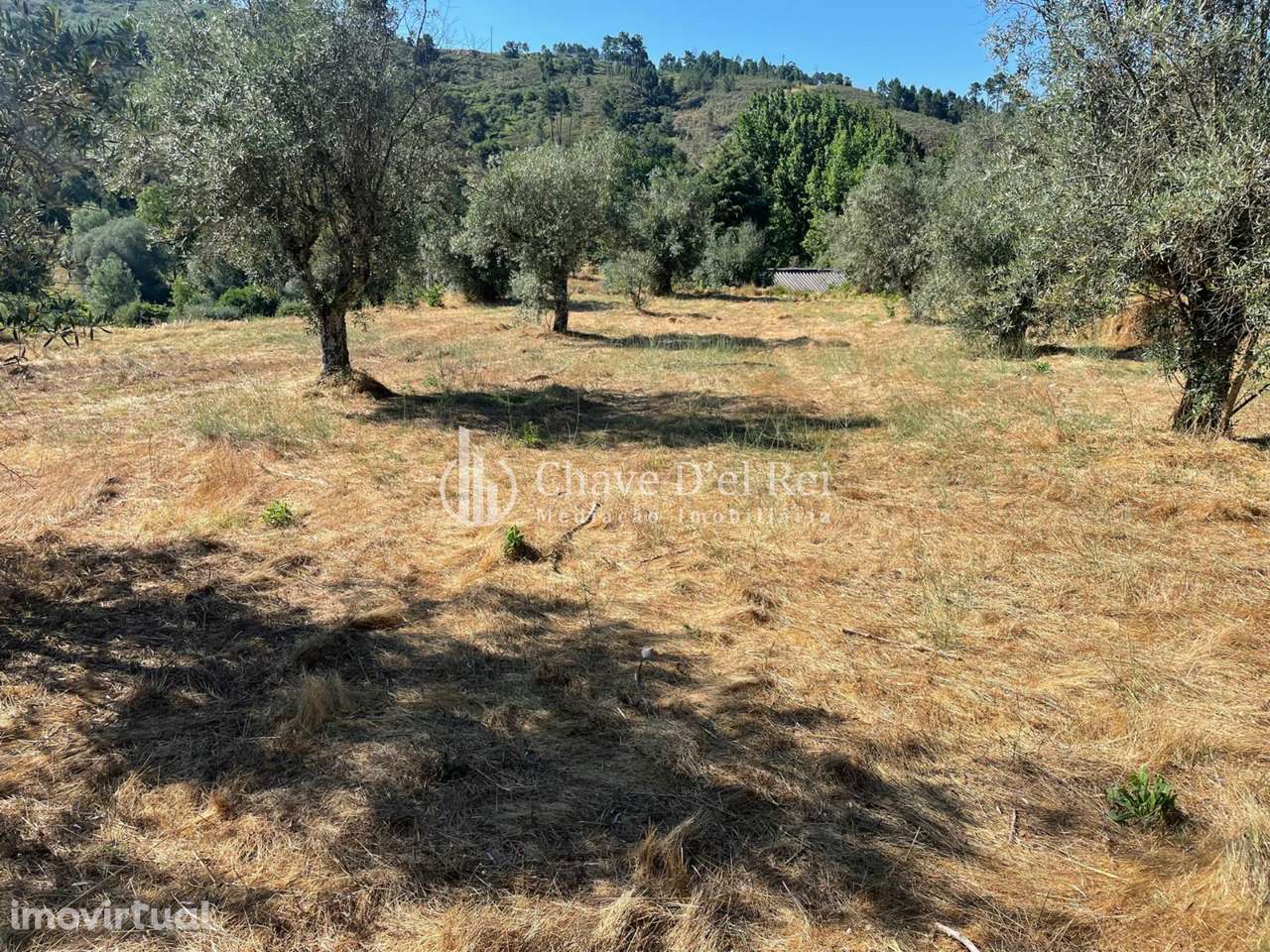 Terreno  Venda em Santar e Moreira,Nelas - Grande imagem: 2/18