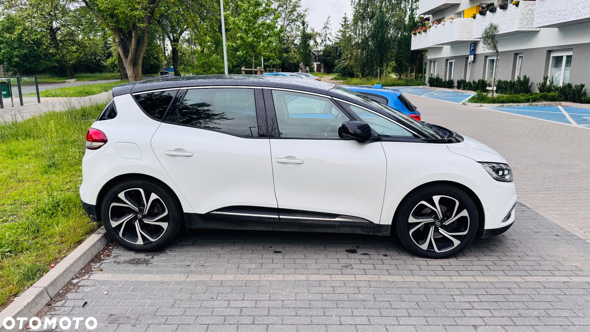Renault Scenic BLUE dCi 150 EDC BUSINESS EDITION - 20